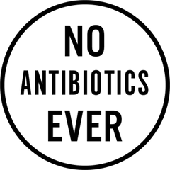 No Antibiotics Ever